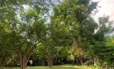 1 HEKTAR 12 ARE LAND IN TABANAN WEST SELAMADEG FOR SALE code mr.dalem