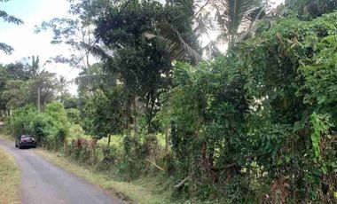 1 HEKTAR 12 ARE LAND IN TABANAN WEST SELAMADEG FOR SALE code mr.dalem