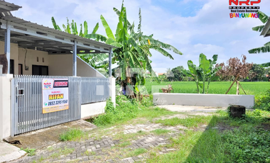 Disewakan Rumah Minimalis di Kebalenan - Banyuwangi