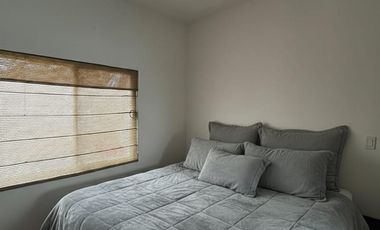 Renta Fracc Guanajuato