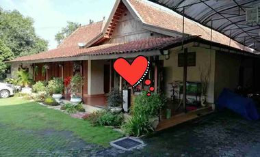 Dijual Guesthouse Klasik Luas Sejuk Asri Cupuwatu Kalasan Sleman.NEGO SAMPAI DEAL