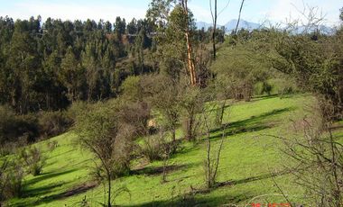 FUNDO PORVENIR-QUIPUE-V REGION