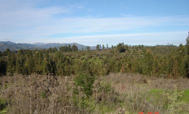 FUNDO PORVENIR-QUIPUE-V REGION