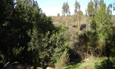 FUNDO PORVENIR-QUIPUE-V REGION