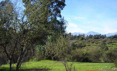 FUNDO PORVENIR-QUIPUE-V REGION