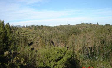 FUNDO PORVENIR-QUIPUE-V REGION