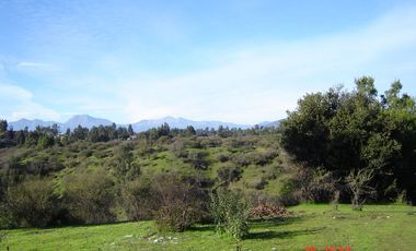 FUNDO PORVENIR-QUIPUE-V REGION