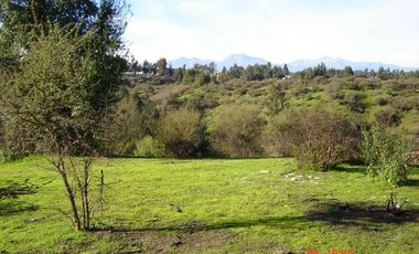 FUNDO PORVENIR-QUIPUE-V REGION