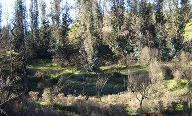 FUNDO PORVENIR-QUIPUE-V REGION