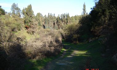 FUNDO PORVENIR-QUIPUE-V REGION