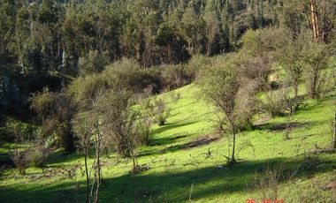 FUNDO PORVENIR-QUIPUE-V REGION