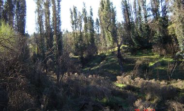 FUNDO PORVENIR-QUIPUE-V REGION