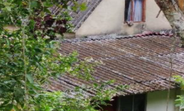 Se Vende Finca- Sasaima  Cundinamarca