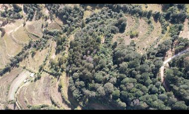 Terreno boscoso en Omitlán, Hidalgo a 1:30 de CDMX