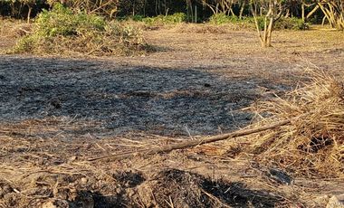 VENTA HERMOSO y GRAN TERRENO. TODO O EN PARTES