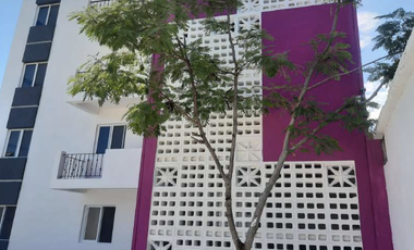 🏡DEPARTAMENTO EN RENTA EN CIUDAD DEL CARMEN ✨LAKSHMI 8✨ CALLE 37 COL. HÉCTOR PÉREZ MARTÍNEZ📍