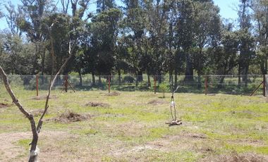 CABAÑA EN VENTA - EN TIMBUES