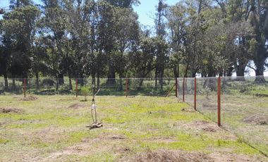 CABAÑA EN VENTA - EN TIMBUES