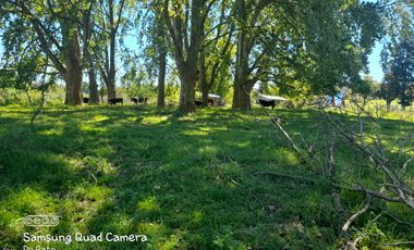 CABAÑA EN VENTA - EN TIMBUES