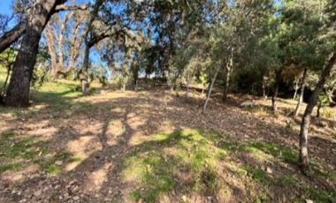 VENDO PRECIOSA CABAÑA DE MADERA EN TLALPUJAHUA, MICHOACAN