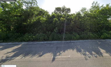 Terreno de 2 ha Carretera Chicxulub Puerto, municipio de Conkal.