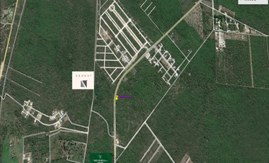 Terreno de 2 ha Carretera Chicxulub Puerto, municipio de Conkal.