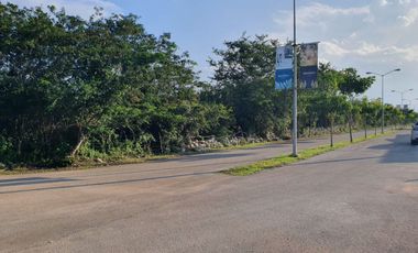 Terreno de 2 ha Carretera Chicxulub Puerto, municipio de Conkal.