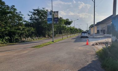 Terreno de 2 ha Carretera Chicxulub Puerto, municipio de Conkal.