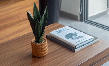 Te encantará este envidiable departamento amueblado, en la zona rosa de Guadalajara.