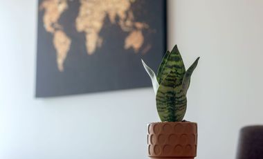 Te encantará este envidiable departamento amueblado, en la zona rosa de Guadalajara.