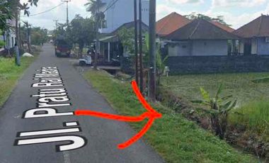 Premium Land for Sale – Cemagi (The Next Canggu)