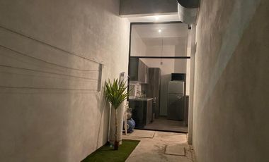 DEPARTAMENTO AMUEBLADO  EN RENTA COLONIA