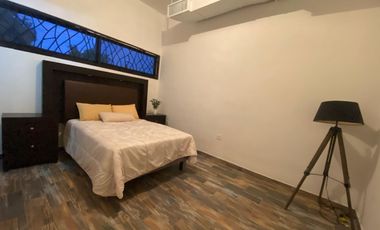 DEPARTAMENTO AMUEBLADO  EN RENTA COLONIA