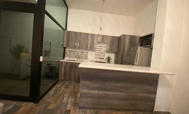 DEPARTAMENTO AMUEBLADO  EN RENTA COLONIA