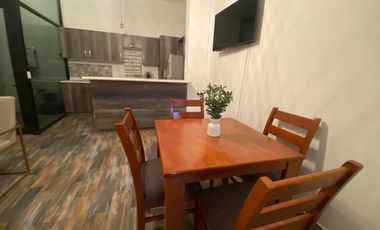 DEPARTAMENTO AMUEBLADO  EN RENTA COLONIA