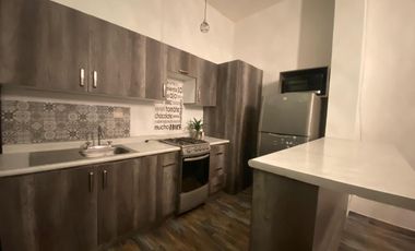 DEPARTAMENTO AMUEBLADO  EN RENTA COLONIA