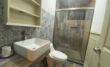 DEPARTAMENTO AMUEBLADO  EN RENTA COLONIA