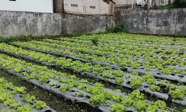 Tanah lokasi terbaik di kawasan lembang pinggir jalan desa, udara sejuk pegunungan,recommend di bangun villa sangat cocok untuk tempat tinggal.