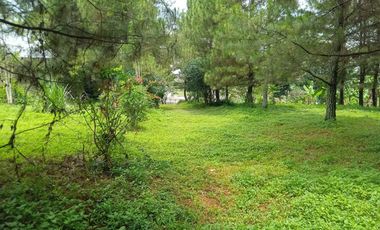 Tanah dijual di RW 03, Padalarang, Bandung Barat, Jawa Barat