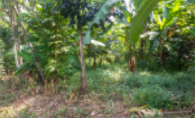 TANAH DIJUAL – KABUPATEN LEBAK