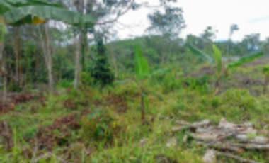 TANAH DIJUAL – KABUPATEN LEBAK