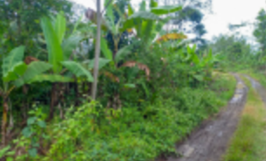 TANAH DIJUAL – KABUPATEN LEBAK