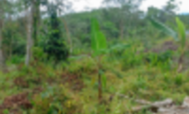 TANAH DIJUAL – KABUPATEN LEBAK