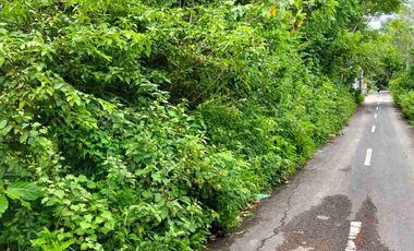 dijual tanah 10 are IDR 500 juta per are dekat Nirmala Ungasan Kuta Selatan Badung Bali