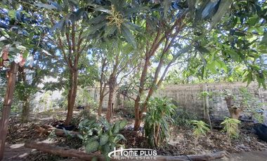 หมู่บ้านในฝัน 3 ปากเพรียว (หลังริม) ตำบลปากเพรียว อำเภอเมืองสระบุรี สระบุรี