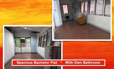 Clean Title 5BR House & Lot FOR SALE at Bel-Air 2 Village Makati