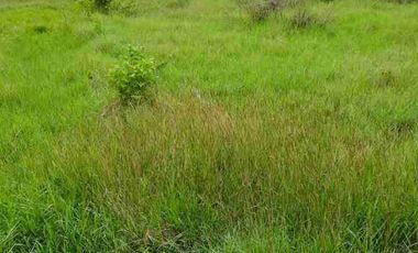 Lahan Zona Industri Ceper Klaten 9350m²