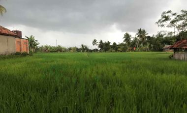 Sawah Produktif Murah,Pinggir Jln Aktif