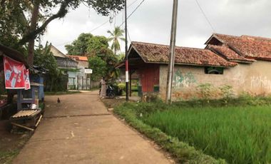 Sawah Produktif Murah,Pinggir Jln Aktif