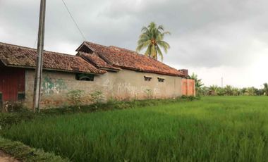 Sawah Produktif Murah,Pinggir Jln Aktif